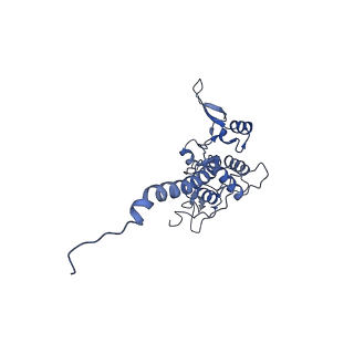 16171_8bq5_AE_v1-0
Cryo-EM structure of the Arabidopsis thaliana I+III2 supercomplex (Complete conformation 1 composition)