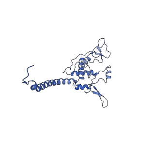 16171_8bq5_BE_v1-0
Cryo-EM structure of the Arabidopsis thaliana I+III2 supercomplex (Complete conformation 1 composition)