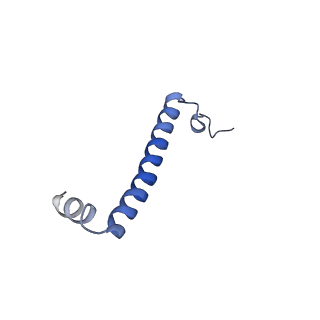 16171_8bq5_BI_v1-0
Cryo-EM structure of the Arabidopsis thaliana I+III2 supercomplex (Complete conformation 1 composition)