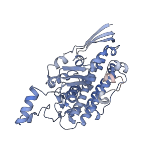 16171_8bq5_D_v1-0
Cryo-EM structure of the Arabidopsis thaliana I+III2 supercomplex (Complete conformation 1 composition)