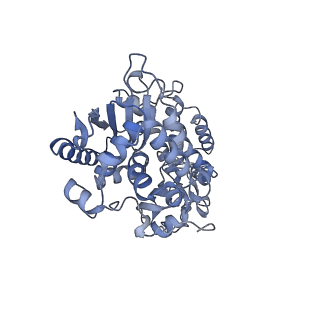 16171_8bq5_F_v1-0
Cryo-EM structure of the Arabidopsis thaliana I+III2 supercomplex (Complete conformation 1 composition)