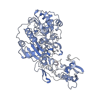 16171_8bq5_G_v1-0
Cryo-EM structure of the Arabidopsis thaliana I+III2 supercomplex (Complete conformation 1 composition)