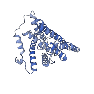 16171_8bq5_H_v1-0
Cryo-EM structure of the Arabidopsis thaliana I+III2 supercomplex (Complete conformation 1 composition)