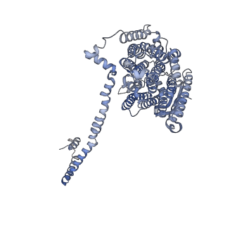 16171_8bq5_L_v1-0
Cryo-EM structure of the Arabidopsis thaliana I+III2 supercomplex (Complete conformation 1 composition)