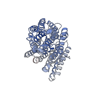 16171_8bq5_M_v1-0
Cryo-EM structure of the Arabidopsis thaliana I+III2 supercomplex (Complete conformation 1 composition)