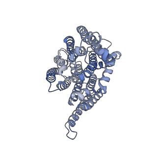 16171_8bq5_N_v1-0
Cryo-EM structure of the Arabidopsis thaliana I+III2 supercomplex (Complete conformation 1 composition)