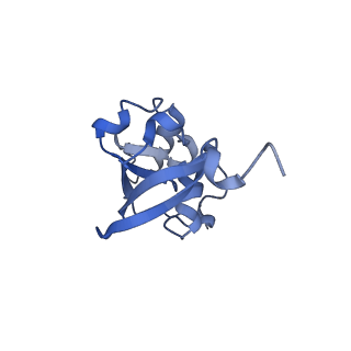 16171_8bq5_O_v1-0
Cryo-EM structure of the Arabidopsis thaliana I+III2 supercomplex (Complete conformation 1 composition)