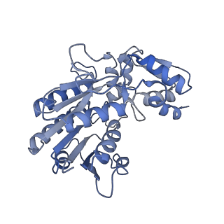 16171_8bq5_P_v1-0
Cryo-EM structure of the Arabidopsis thaliana I+III2 supercomplex (Complete conformation 1 composition)