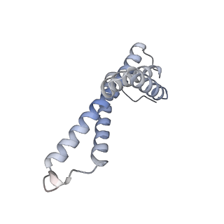 16171_8bq5_Y_v1-0
Cryo-EM structure of the Arabidopsis thaliana I+III2 supercomplex (Complete conformation 1 composition)