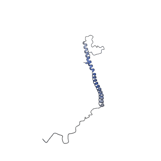 16171_8bq5_Z_v1-0
Cryo-EM structure of the Arabidopsis thaliana I+III2 supercomplex (Complete conformation 1 composition)