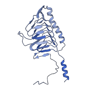 16171_8bq5_x_v1-0
Cryo-EM structure of the Arabidopsis thaliana I+III2 supercomplex (Complete conformation 1 composition)