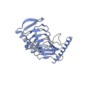 16171_8bq5_y_v1-0
Cryo-EM structure of the Arabidopsis thaliana I+III2 supercomplex (Complete conformation 1 composition)