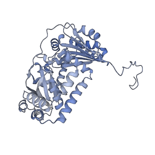 16172_8bq6_AA_v1-0
Cryo-EM structure of the Arabidopsis thaliana I+III2 supercomplex (Complete conformation 2 composition)