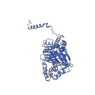 16172_8bq6_AB_v1-0
Cryo-EM structure of the Arabidopsis thaliana I+III2 supercomplex (Complete conformation 2 composition)