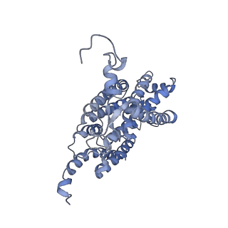 16172_8bq6_AC_v1-0
Cryo-EM structure of the Arabidopsis thaliana I+III2 supercomplex (Complete conformation 2 composition)