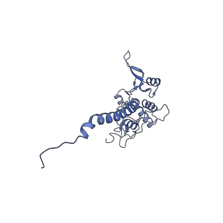 16172_8bq6_AE_v1-0
Cryo-EM structure of the Arabidopsis thaliana I+III2 supercomplex (Complete conformation 2 composition)