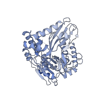 16172_8bq6_BA_v1-0
Cryo-EM structure of the Arabidopsis thaliana I+III2 supercomplex (Complete conformation 2 composition)