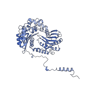 16172_8bq6_BB_v1-0
Cryo-EM structure of the Arabidopsis thaliana I+III2 supercomplex (Complete conformation 2 composition)