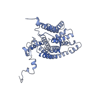 16172_8bq6_BC_v1-0
Cryo-EM structure of the Arabidopsis thaliana I+III2 supercomplex (Complete conformation 2 composition)