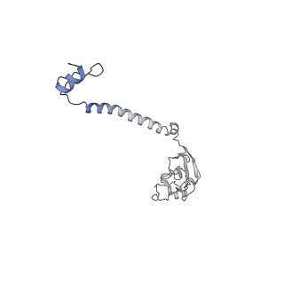 16172_8bq6_BD_v1-0
Cryo-EM structure of the Arabidopsis thaliana I+III2 supercomplex (Complete conformation 2 composition)