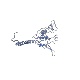 16172_8bq6_BE_v1-0
Cryo-EM structure of the Arabidopsis thaliana I+III2 supercomplex (Complete conformation 2 composition)
