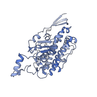 16172_8bq6_D_v1-0
Cryo-EM structure of the Arabidopsis thaliana I+III2 supercomplex (Complete conformation 2 composition)