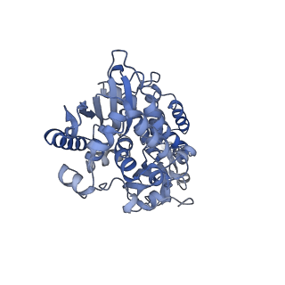 16172_8bq6_F_v1-0
Cryo-EM structure of the Arabidopsis thaliana I+III2 supercomplex (Complete conformation 2 composition)