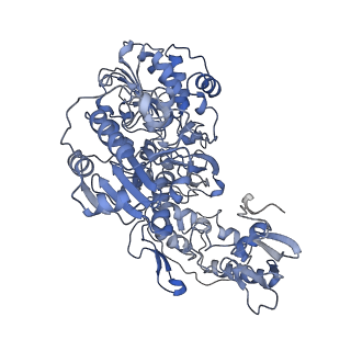 16172_8bq6_G_v1-0
Cryo-EM structure of the Arabidopsis thaliana I+III2 supercomplex (Complete conformation 2 composition)