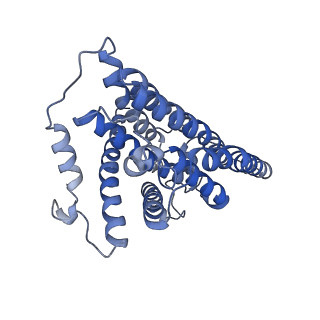 16172_8bq6_H_v1-0
Cryo-EM structure of the Arabidopsis thaliana I+III2 supercomplex (Complete conformation 2 composition)