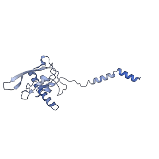 16172_8bq6_I_v1-0
Cryo-EM structure of the Arabidopsis thaliana I+III2 supercomplex (Complete conformation 2 composition)