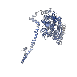 16172_8bq6_L_v1-0
Cryo-EM structure of the Arabidopsis thaliana I+III2 supercomplex (Complete conformation 2 composition)