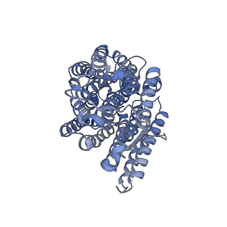 16172_8bq6_M_v1-0
Cryo-EM structure of the Arabidopsis thaliana I+III2 supercomplex (Complete conformation 2 composition)