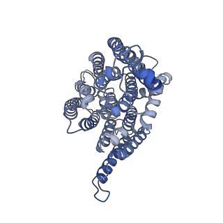 16172_8bq6_N_v1-0
Cryo-EM structure of the Arabidopsis thaliana I+III2 supercomplex (Complete conformation 2 composition)
