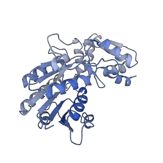 16172_8bq6_P_v1-0
Cryo-EM structure of the Arabidopsis thaliana I+III2 supercomplex (Complete conformation 2 composition)