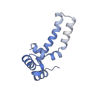 16172_8bq6_X_v1-0
Cryo-EM structure of the Arabidopsis thaliana I+III2 supercomplex (Complete conformation 2 composition)