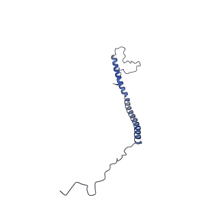 16172_8bq6_Z_v1-0
Cryo-EM structure of the Arabidopsis thaliana I+III2 supercomplex (Complete conformation 2 composition)