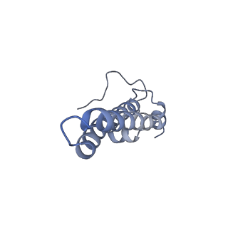 16172_8bq6_f_v1-0
Cryo-EM structure of the Arabidopsis thaliana I+III2 supercomplex (Complete conformation 2 composition)