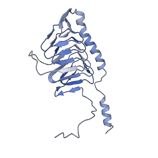 16172_8bq6_x_v1-0
Cryo-EM structure of the Arabidopsis thaliana I+III2 supercomplex (Complete conformation 2 composition)