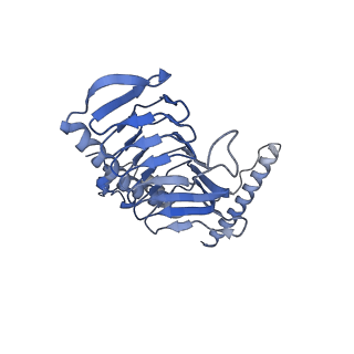16172_8bq6_y_v1-0
Cryo-EM structure of the Arabidopsis thaliana I+III2 supercomplex (Complete conformation 2 composition)
