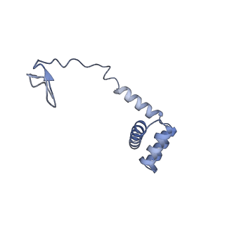 16182_8bqd_AC_v1-1
Yeast 80S ribosome in complex with Map1 (conformation 1)