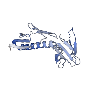 16182_8bqd_AD_v1-1
Yeast 80S ribosome in complex with Map1 (conformation 1)