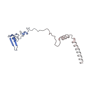 16182_8bqd_AE_v1-1
Yeast 80S ribosome in complex with Map1 (conformation 1)
