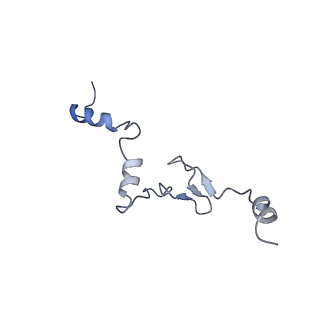 16182_8bqd_AF_v1-1
Yeast 80S ribosome in complex with Map1 (conformation 1)