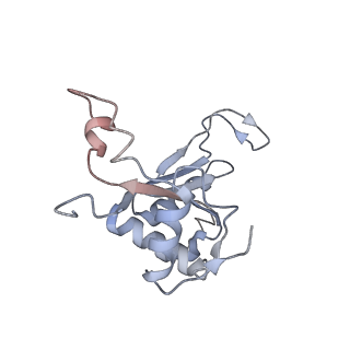16182_8bqd_AG_v1-1
Yeast 80S ribosome in complex with Map1 (conformation 1)