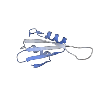 16182_8bqd_AI_v1-1
Yeast 80S ribosome in complex with Map1 (conformation 1)