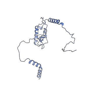 16182_8bqd_AJ_v1-1
Yeast 80S ribosome in complex with Map1 (conformation 1)