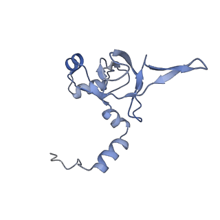 16182_8bqd_AK_v1-1
Yeast 80S ribosome in complex with Map1 (conformation 1)