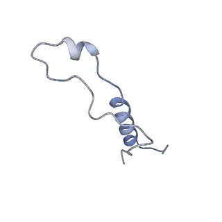 16182_8bqd_AL_v1-1
Yeast 80S ribosome in complex with Map1 (conformation 1)