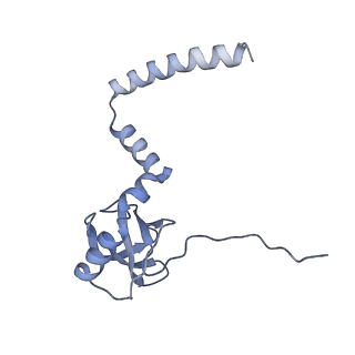 16182_8bqd_AM_v1-1
Yeast 80S ribosome in complex with Map1 (conformation 1)