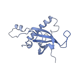 16182_8bqd_AN_v1-1
Yeast 80S ribosome in complex with Map1 (conformation 1)